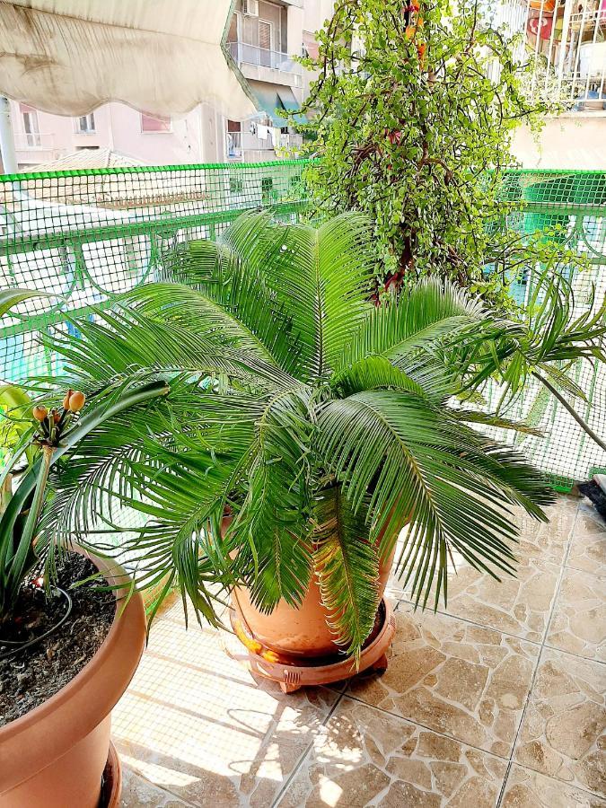 Large Terrace Apartment Near City Centre Афіни Екстер'єр фото