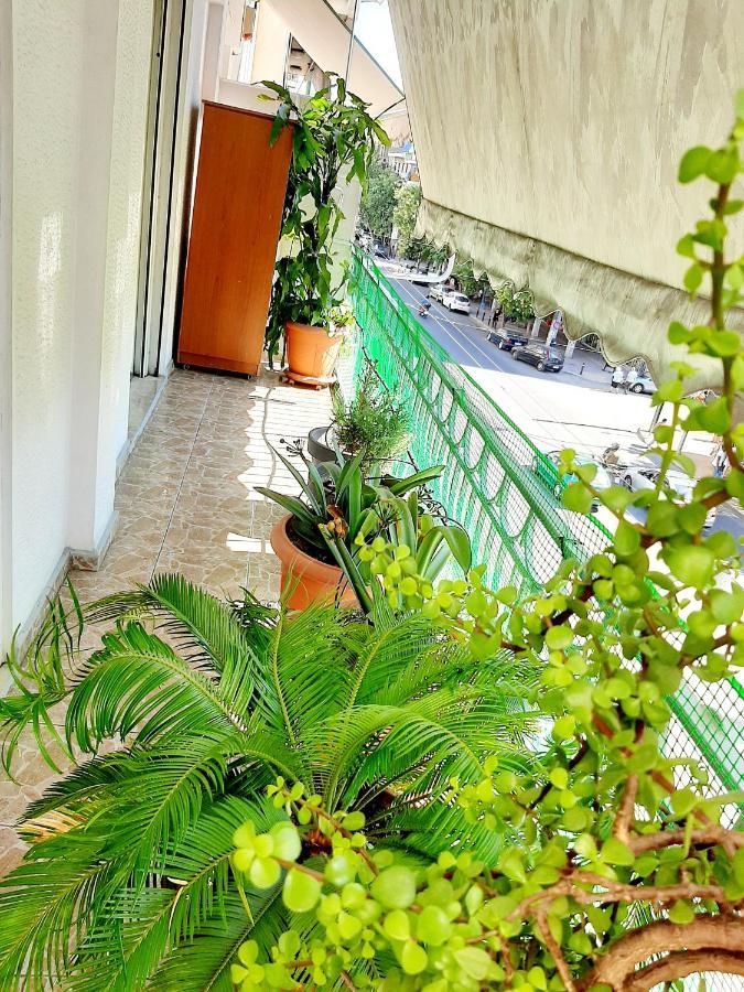 Large Terrace Apartment Near City Centre Афіни Екстер'єр фото