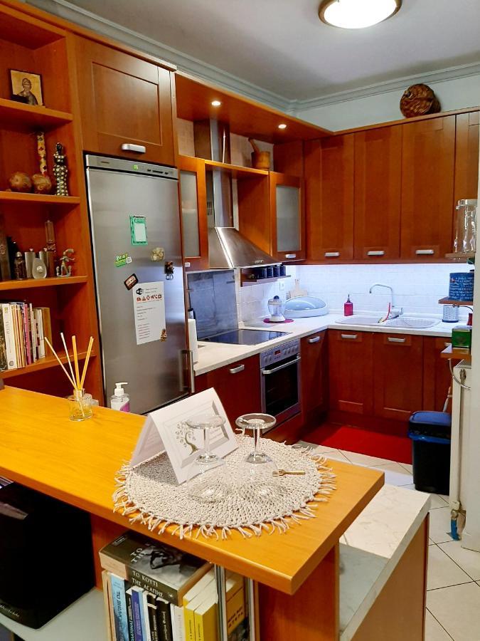 Large Terrace Apartment Near City Centre Афіни Екстер'єр фото